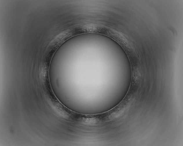 X0000112500645200908171310