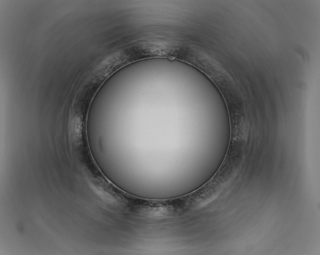 X0000112500646200908171310