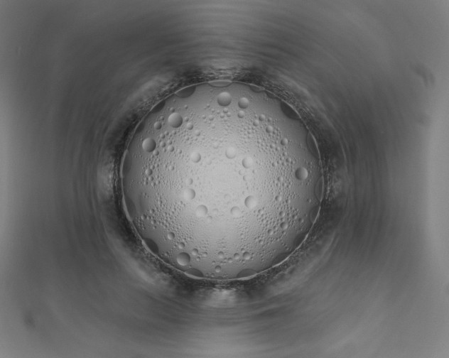 X0000112500647200908171310