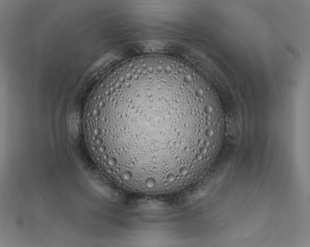 X0000112500648200908171310