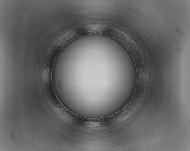 X0000112500649200908171310