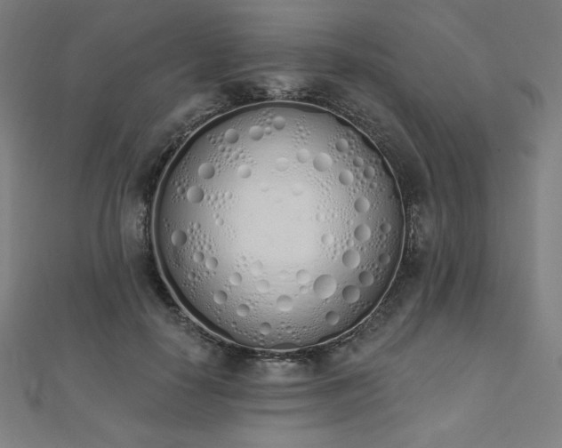 X0000112500650200908171310