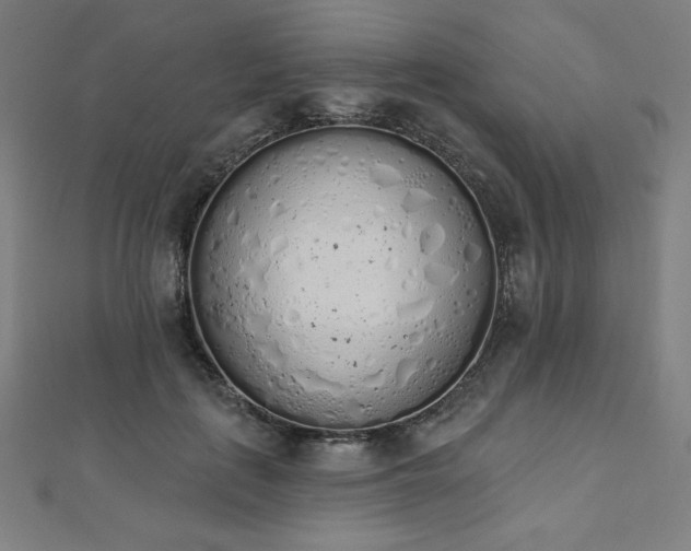 X0000112500651200908171310