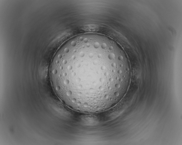 X0000112500652200908171310