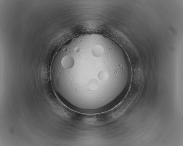 X0000112500653200908171310