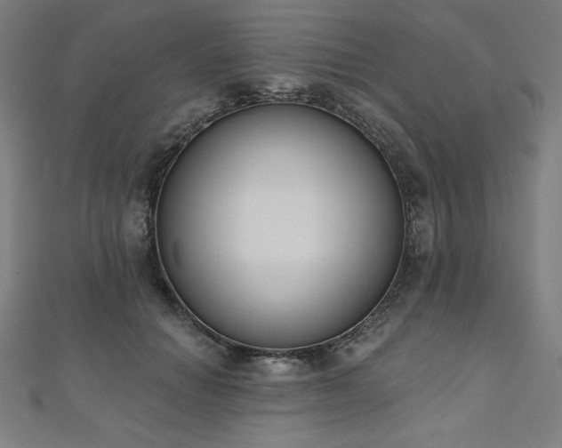 X0000112500654200908171310