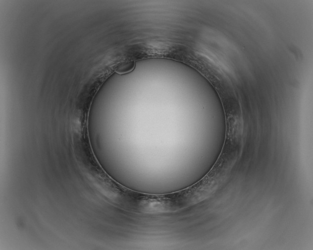 X0000112500655200908171310