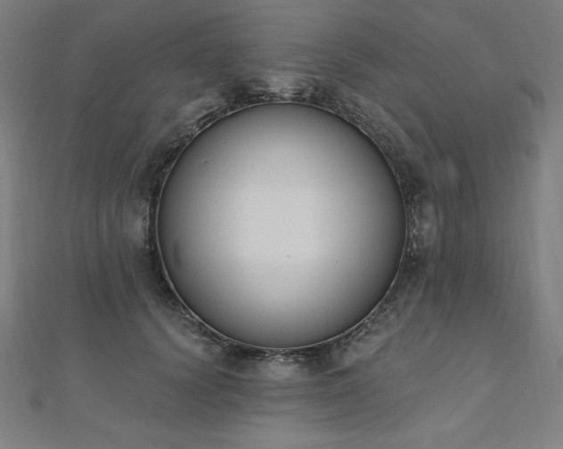 X0000112500656200908171310