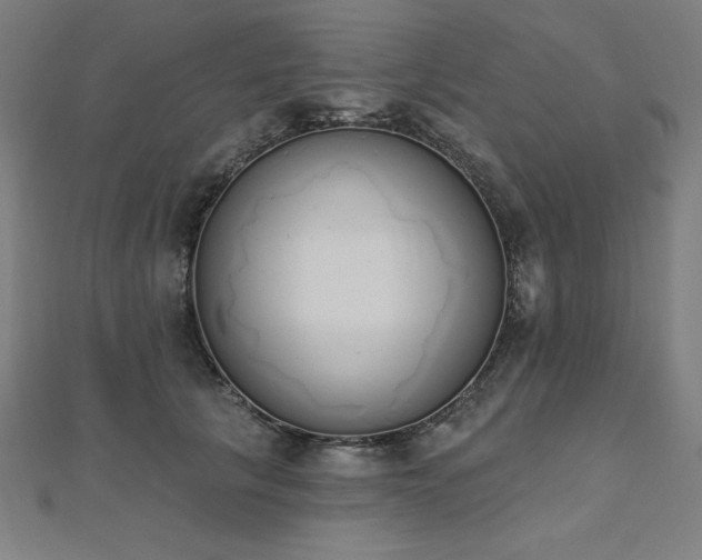 X0000112500657200908171310