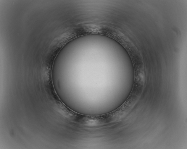 X0000112500658200908171310