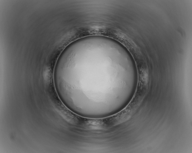 X0000112500659200908171310