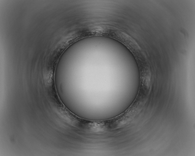 X0000112500660200908171310