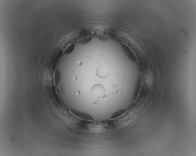 X0000112500661200908171310