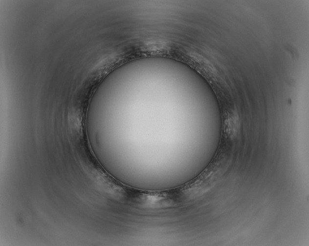 X0000112500662200908171310