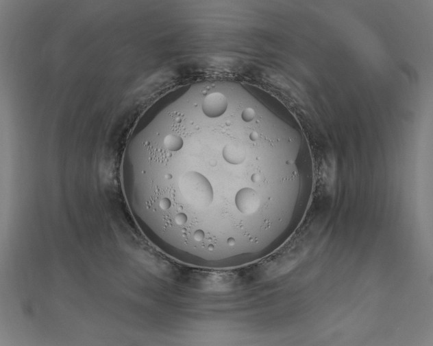 X0000112500663200908171310