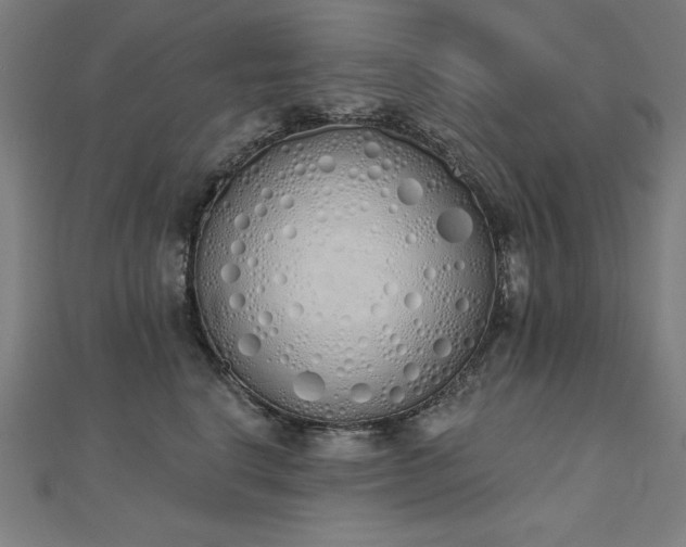 X0000112500664200908171311