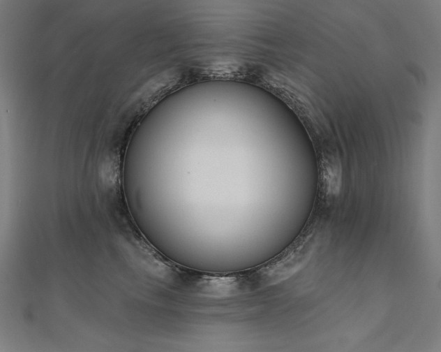 X0000112500665200908171311