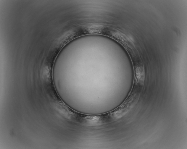 X0000112500667200908171311