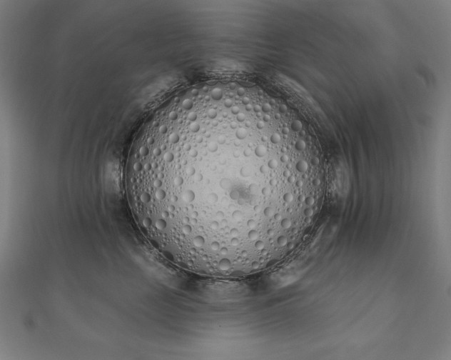 X0000112500669200908171311