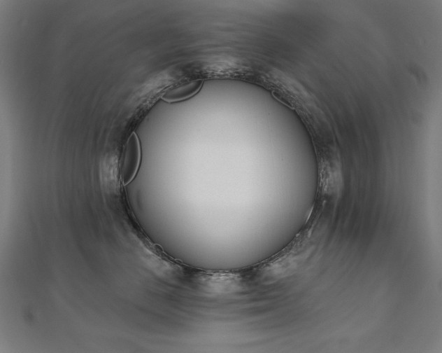 X0000112500670200908171311