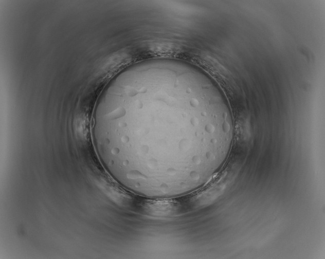 X0000112500671200908171311