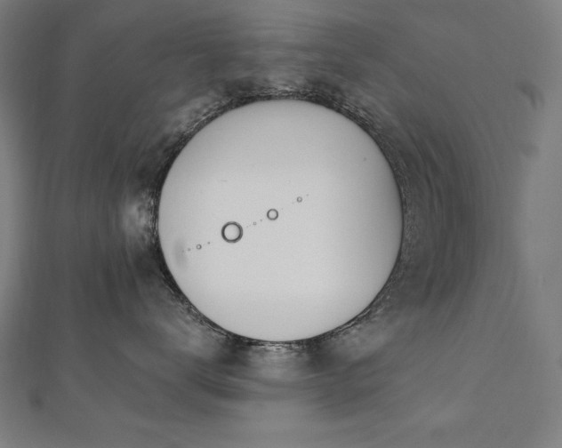 X0000112500672200908171311