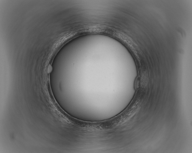 X0000112500673200908171310