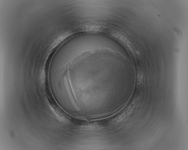 X0000112500674200908171310