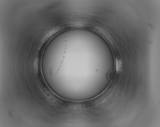 X0000112500675200908171310