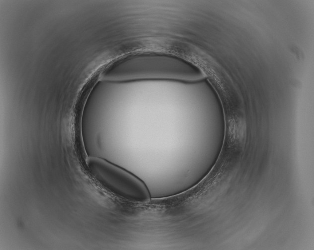 X0000112500676200908171310