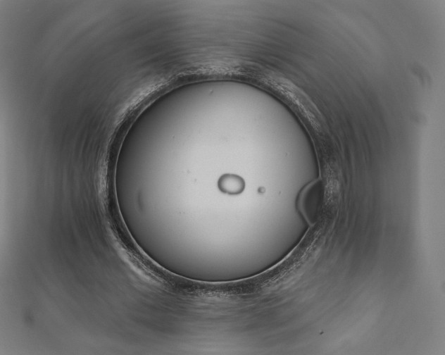 X0000112500677200908171310