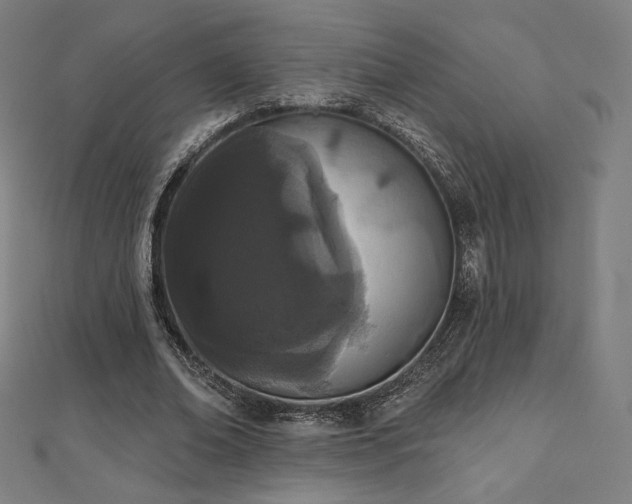 X0000112500678200908171310