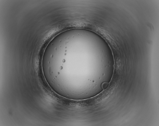 X0000112500679200908171310