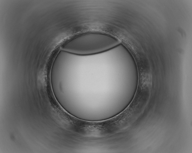 X0000112500680200908171310