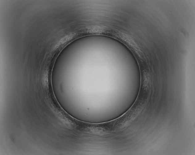 X0000112500681200908171310