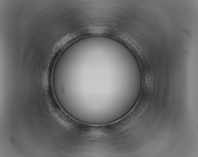 X0000112500682200908171310