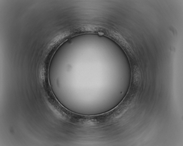 X0000112500683200908171310