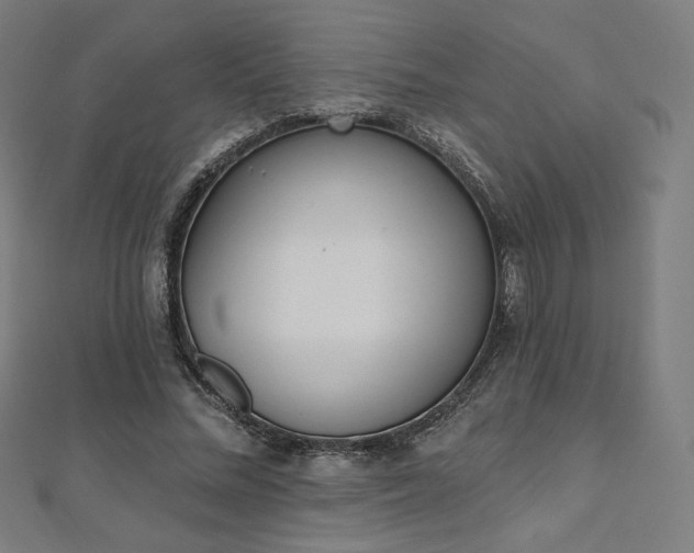 X0000112500684200908171310