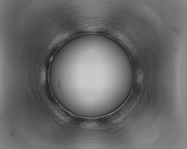 X0000112500685200908171310