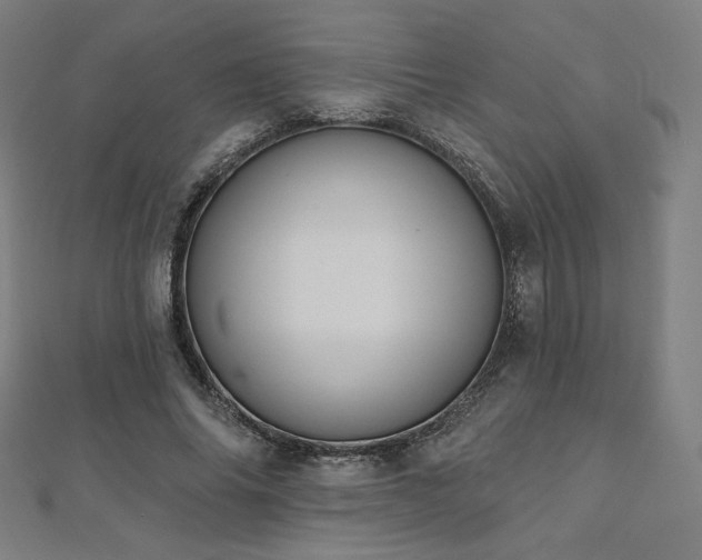 X0000112500686200908171310