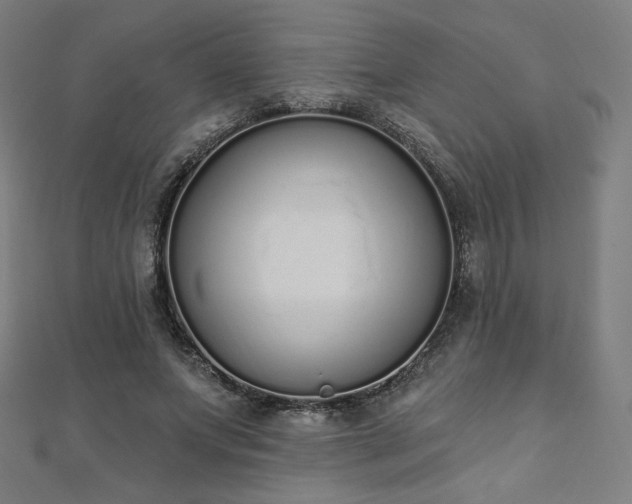 X0000112500687200908171310