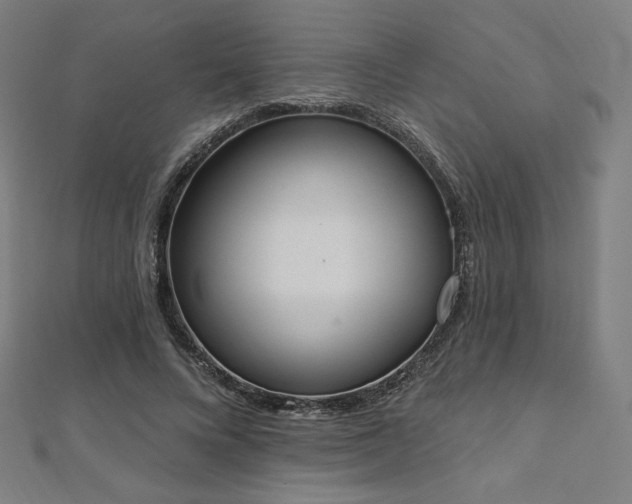 X0000112500688200908171310