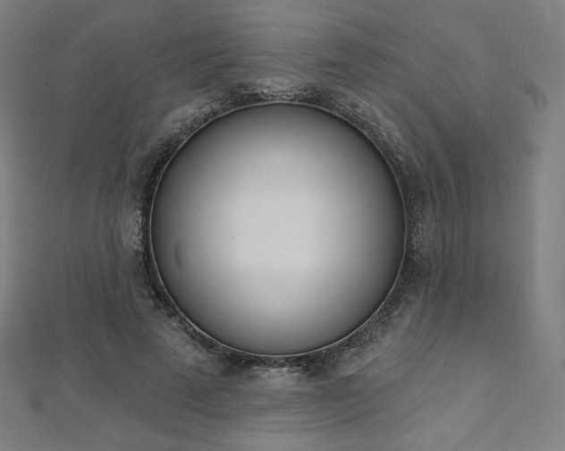 X0000112500689200908171310