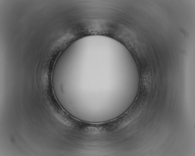 X0000112500690200908171310