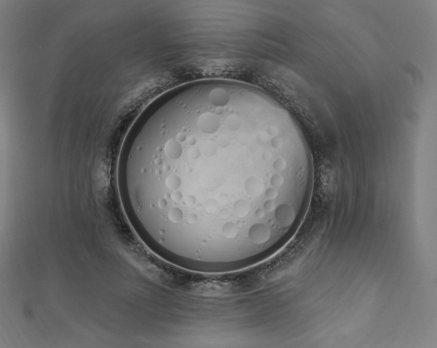 X0000112500691200908171310