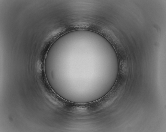 X0000112500692200908171310