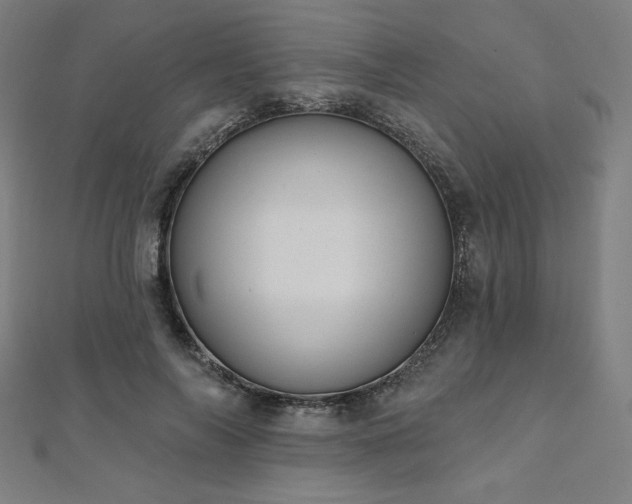 X0000112500694200908171310