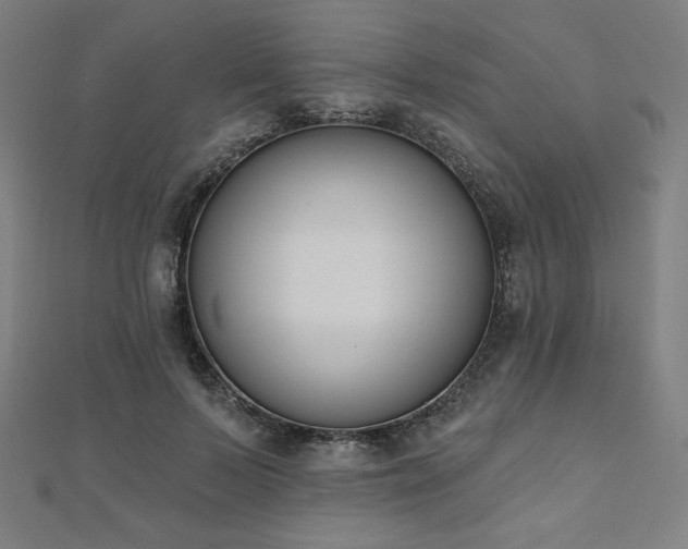 X0000112500695200908171310