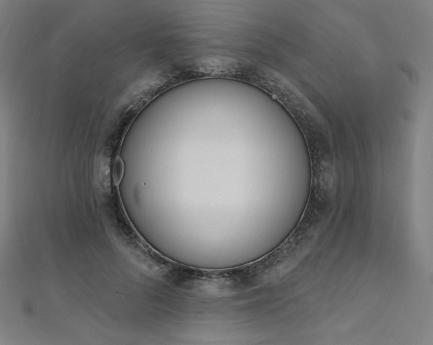 X0000112500696200908171310