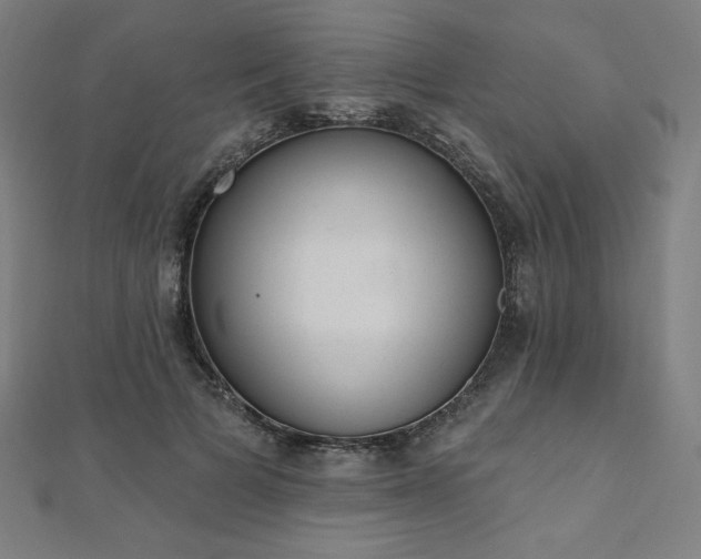 X0000112500697200908171310